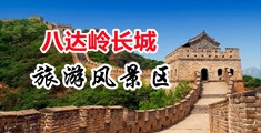 免费网址观看女人逼中国北京-八达岭长城旅游风景区